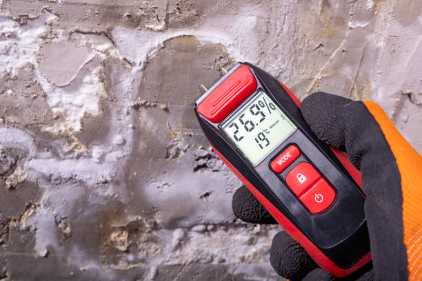 Best Certified Mold Removal  in Hardinsburg, KY